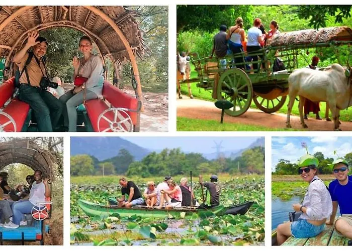 Manju Homestay