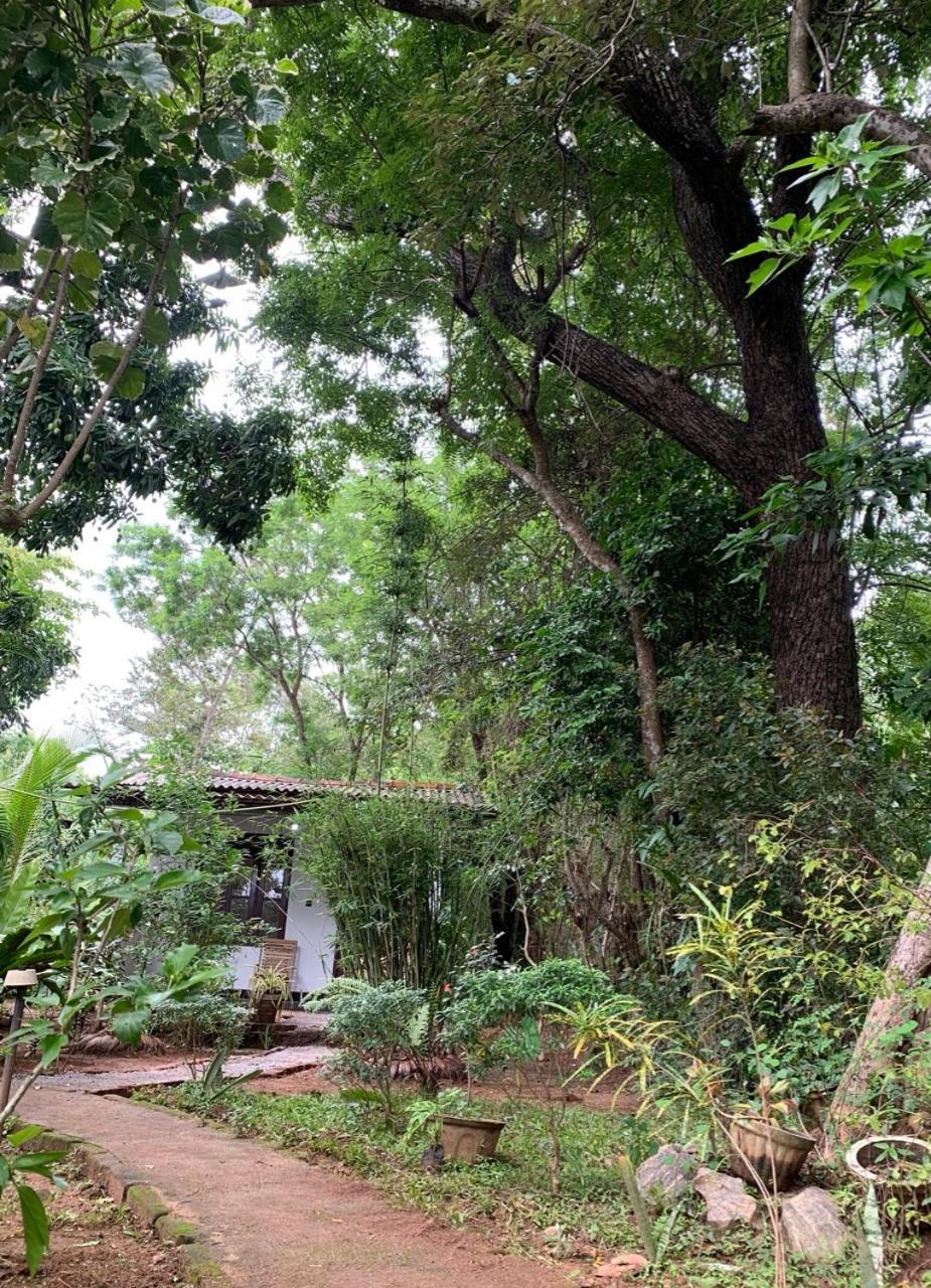 Manju Homestay Sigiriya