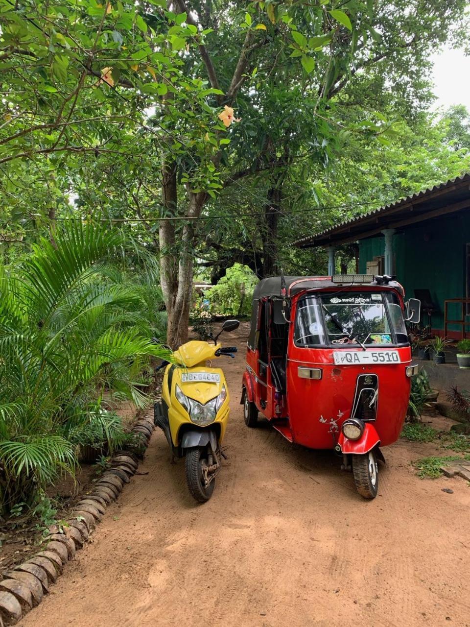 Homestay Manju